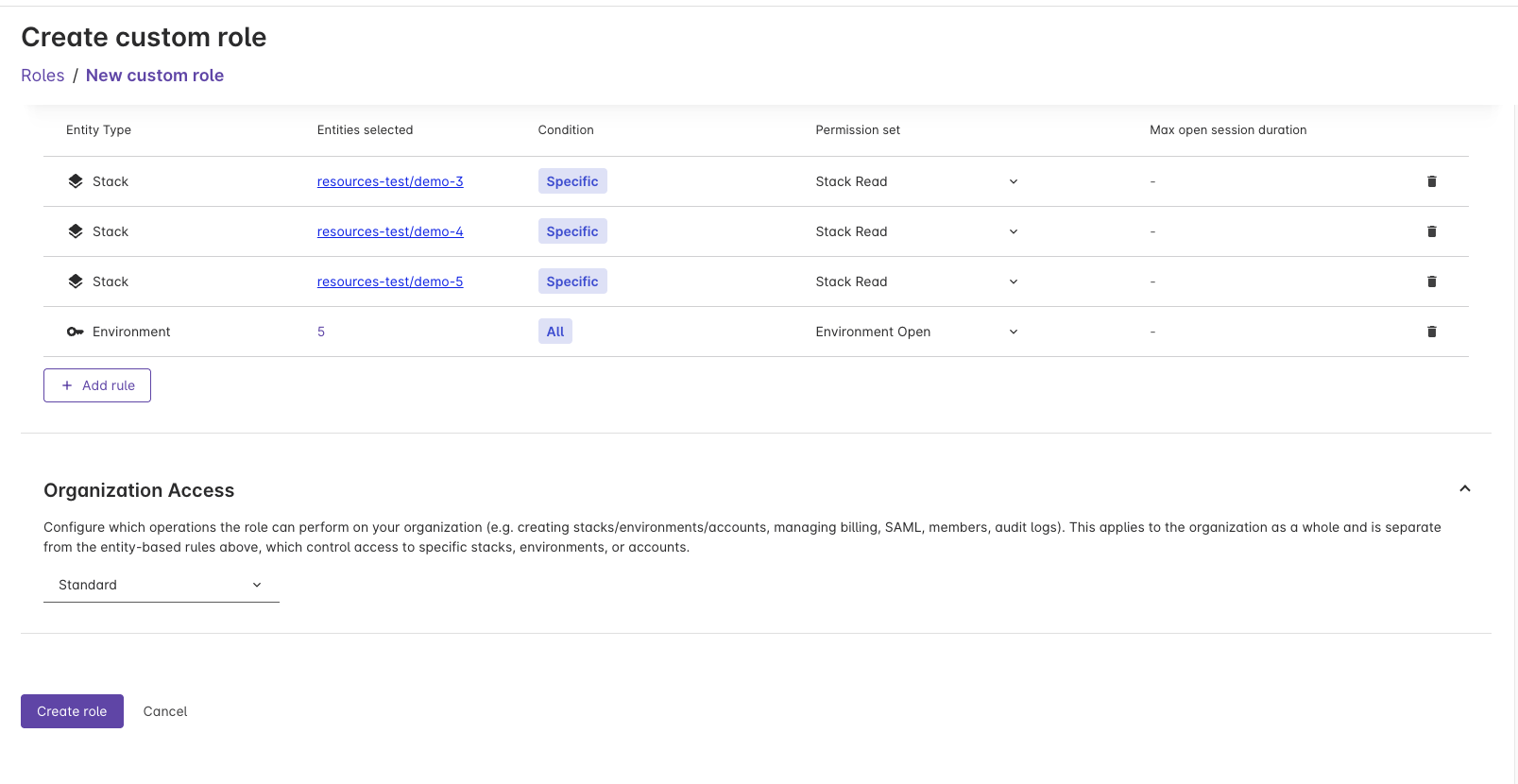Entity access rules and organization access configured, ready to create the role