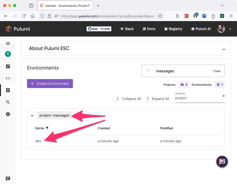 A screenshot showing a newly created ESC environment